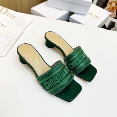 Christian Dior Slippers